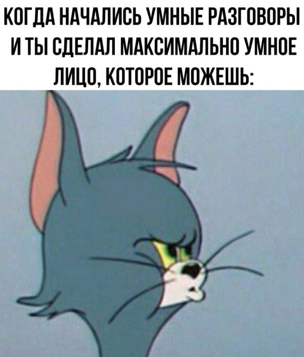 КОЛДА НАЧАЛИСЬ УМНЫЕ РАЗГОВОРЫ И ТЫ СДЕЛАЛ МАКСИМАЛЬНО УМНОЕ ЛИЦО, КОТОРОЕ МОЖЕШЬ: