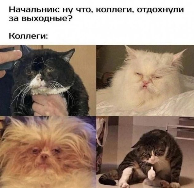 Начальник: ну что, коллеги, отдохнули за выходные?
Коллеги: