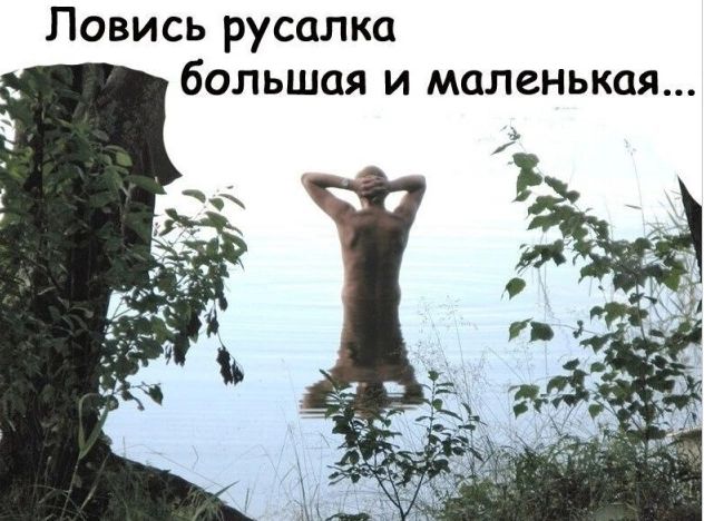 Ловись русалка большая и маленькая...