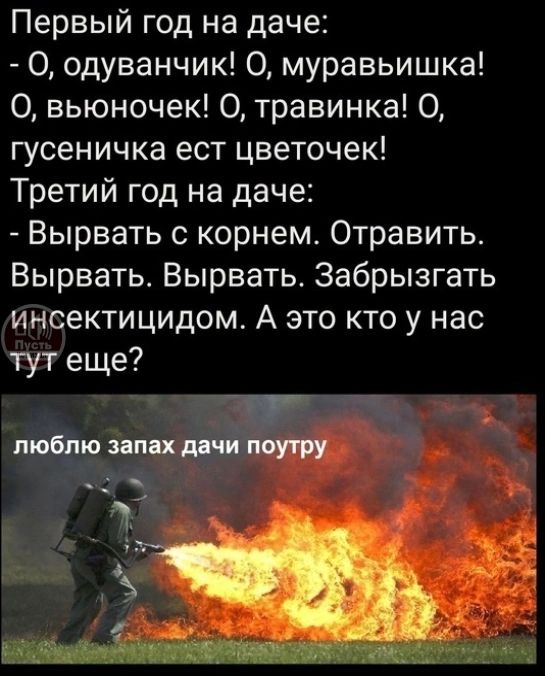 Первый год на даче:
- О, одуванчик! О, муравейка! О, выюночек! О, травинка! О, гусеничка есть цветочек!
Третий год на даче:
- Вырвать с корнем. Отравить. Вырвать. Вырвать. Забрызгать инсектицидом. А это кто у нас тут еще?
люблю запах дачи поутру
