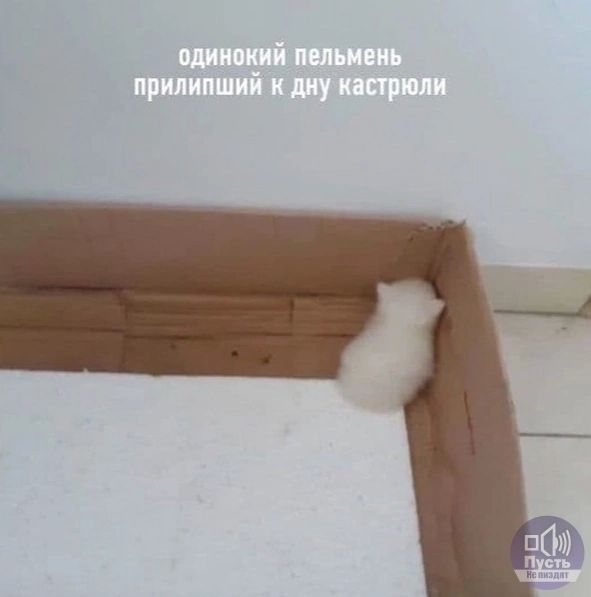одинокий пельмень
прилipsший к дну кастрюли