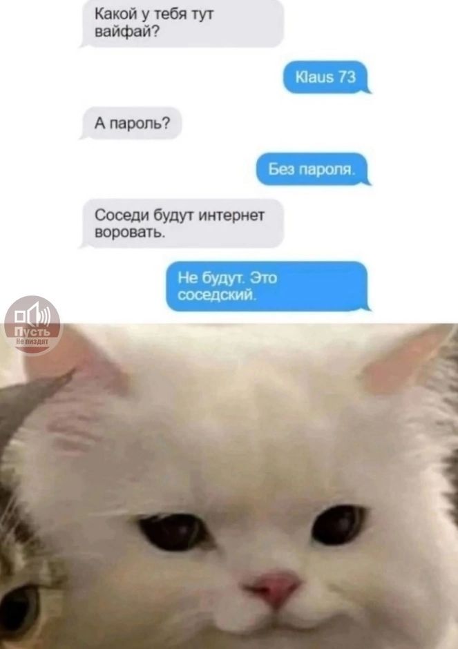 Какой у тебя тут вайфай? Klaus 73
А пароль? Без пароля.
Соседи будут интернет воровать.
Не будут. Это соседский.