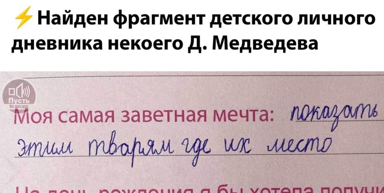 Найден фрагмент детского личного дневника некого Д. Медведева

Моя самая заветная мечта: показать этим тварям где их место.

На день рождения я бы хотела получить...