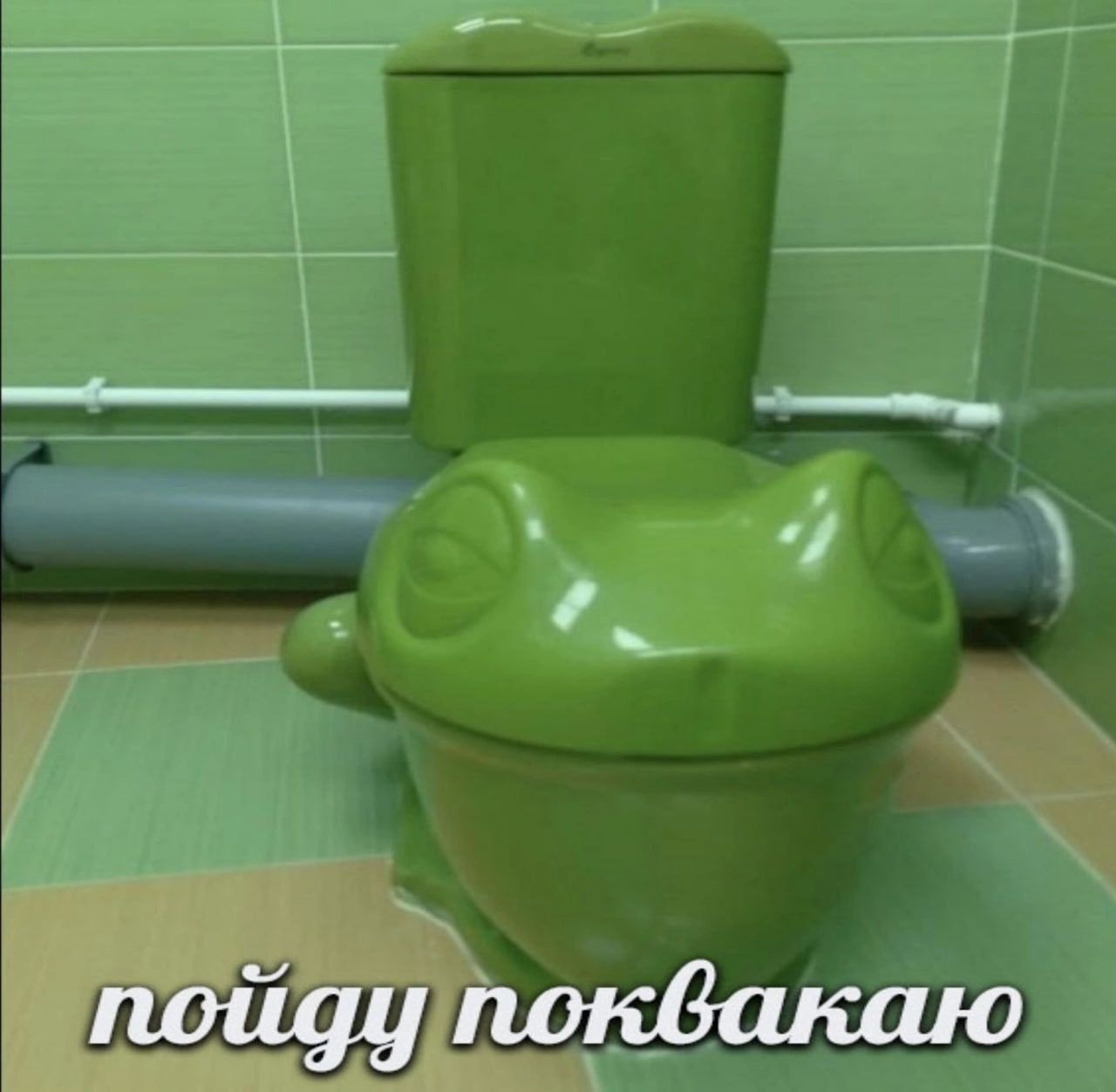 пойду поквакаю