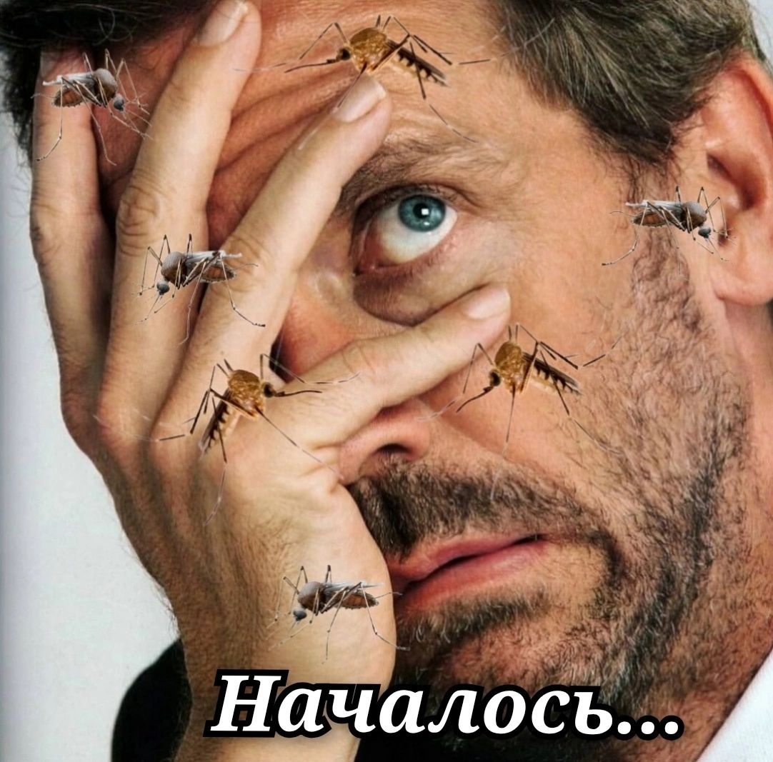 Началось...