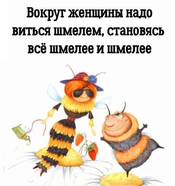 Вокруг женщины надо виться шмелем, становись всё шмелее и шмелее