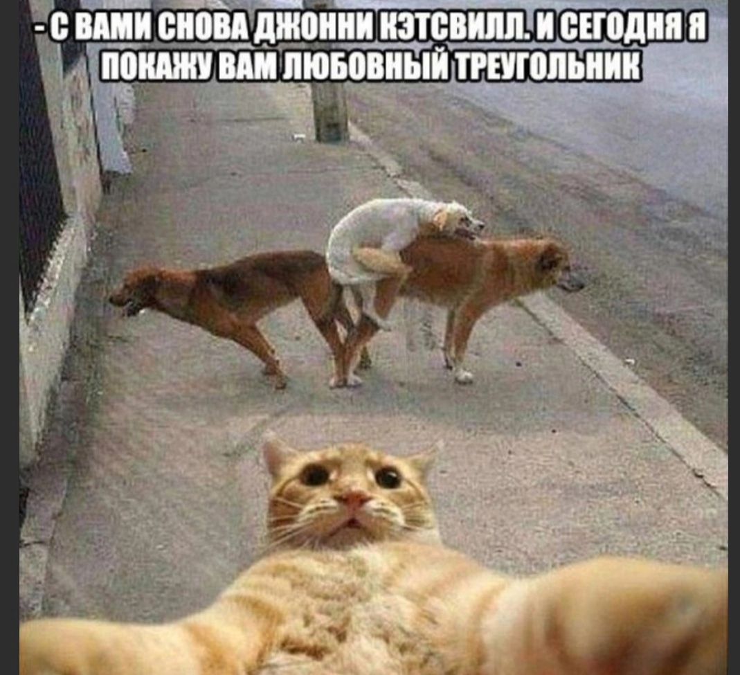 С вами снова Джонни Кэтзвилл. И сегодня я покажу вам любовный треугольник