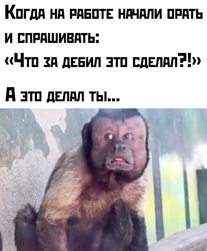 Когда на работе начали орать и спрашивать: «Что за дебил это сделал?!» А это делал ты...