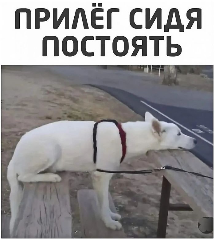 ПРИЛЁГ СИДЯ ПОСТОЯТЬ