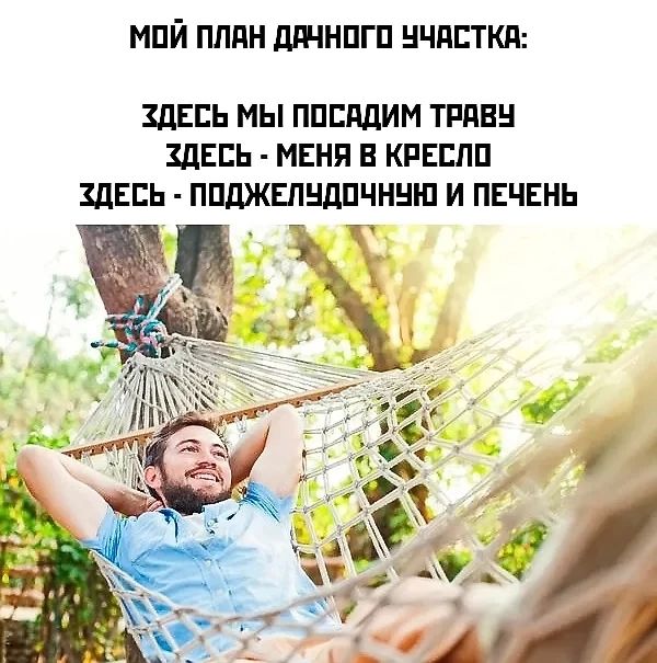МОЙ ПЛАН ДАЧНОГО УЧАСТКА:
ЗДЕСЬ МЫ ПОСАДИМ ТРАВУ
ЗДЕСЬ - МЕНЯ В КРЕСЛО
ЗДЕСЬ - ПОДЖЕЛУДОЧНУЮ И ПЕЧЕНЬ