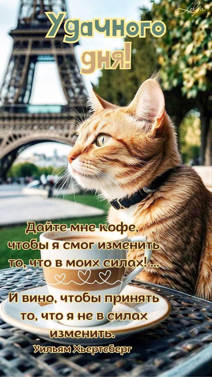 Удачного дня!
Дайте мне кофе, чтобы я смог изменить то, что в моих силах!... И вино, чтобы принять то, что я не в силах изменить.
Уильям Хэвертберг