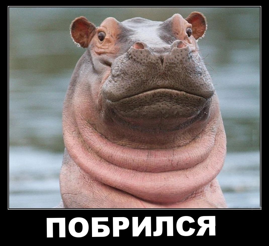 ПОБРИСЯ
