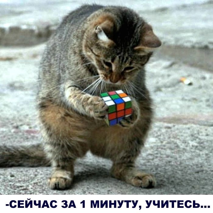 -Сейчас за 1 минуту, учитесь...