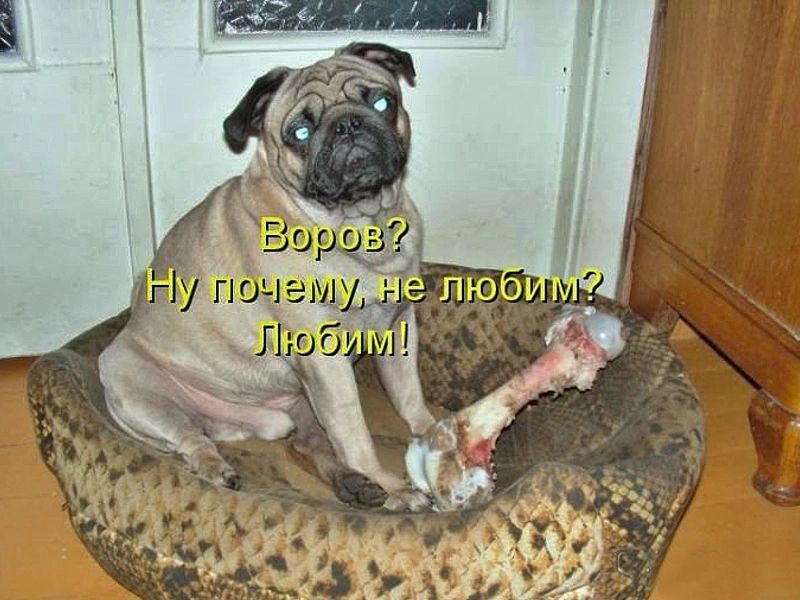Воров? Ну почему, не любим? Любим!