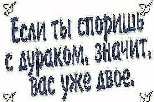 Если ты споришь с дураком, значит, вас уже двое.