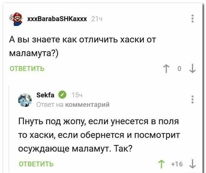А вы знаете как отличить хаски от маламута?) Пнуть под жопу, если унесется в поля то хаски, если обернется и посмотрит осуждающе маламут. Так?