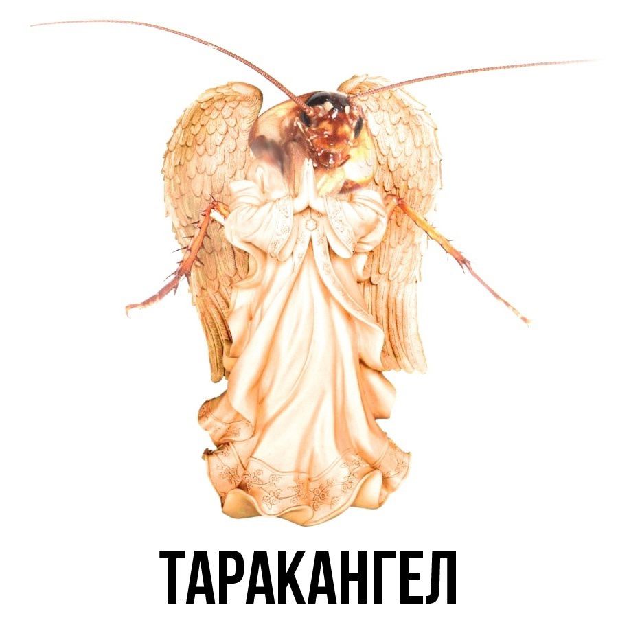 ТАРАКАНГЕЛ