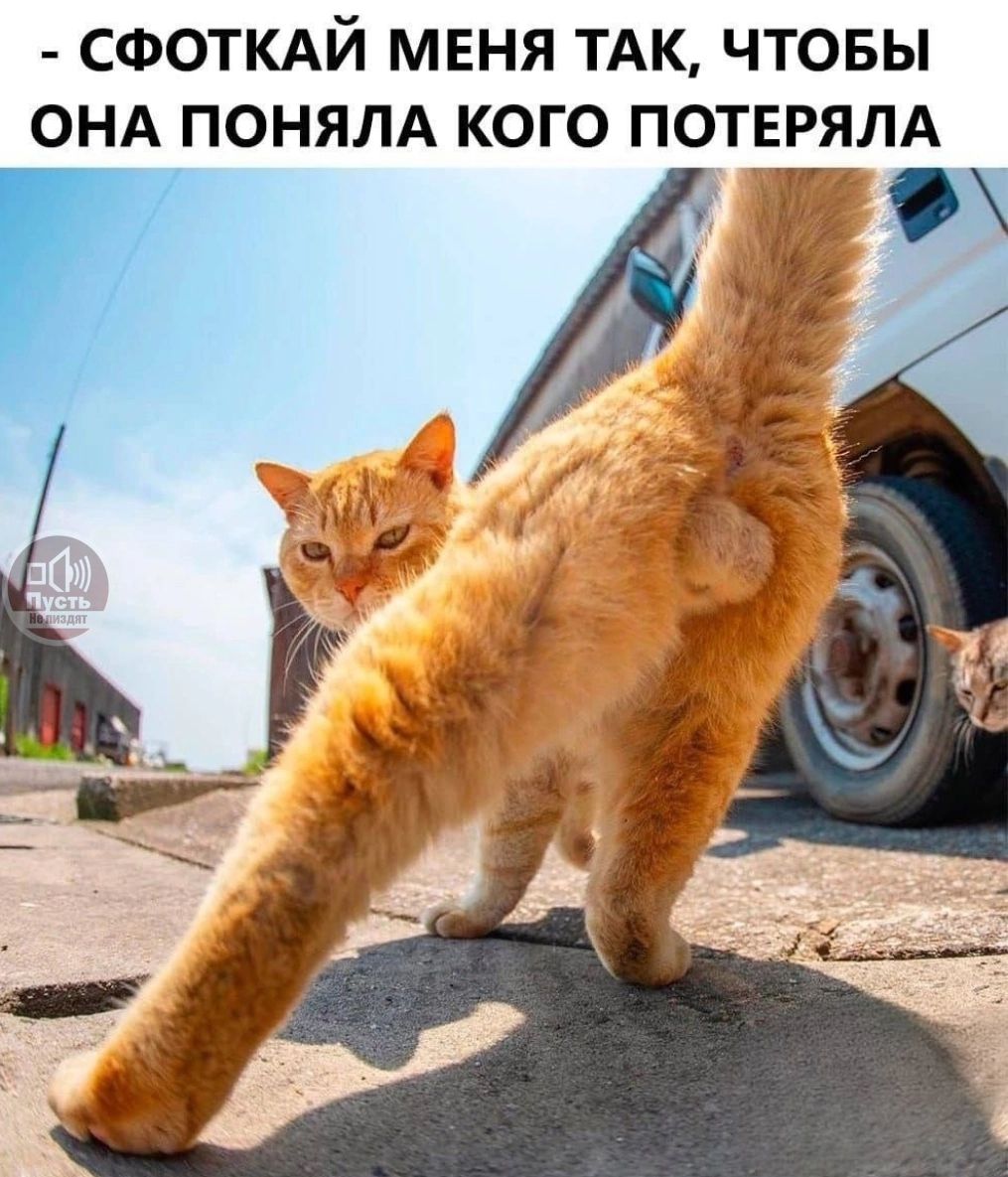 - СФОТКАЙ МЕНЯ ТАК, ЧТОБЫ ОНА ПОНЯЛА КОГО ПОТЕРЯЛА