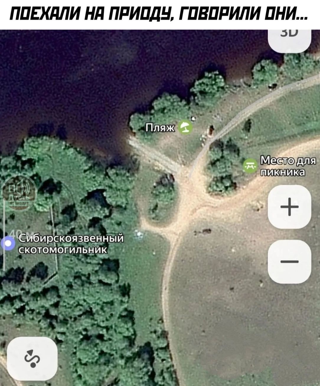 Поехали на природу, говорили они...