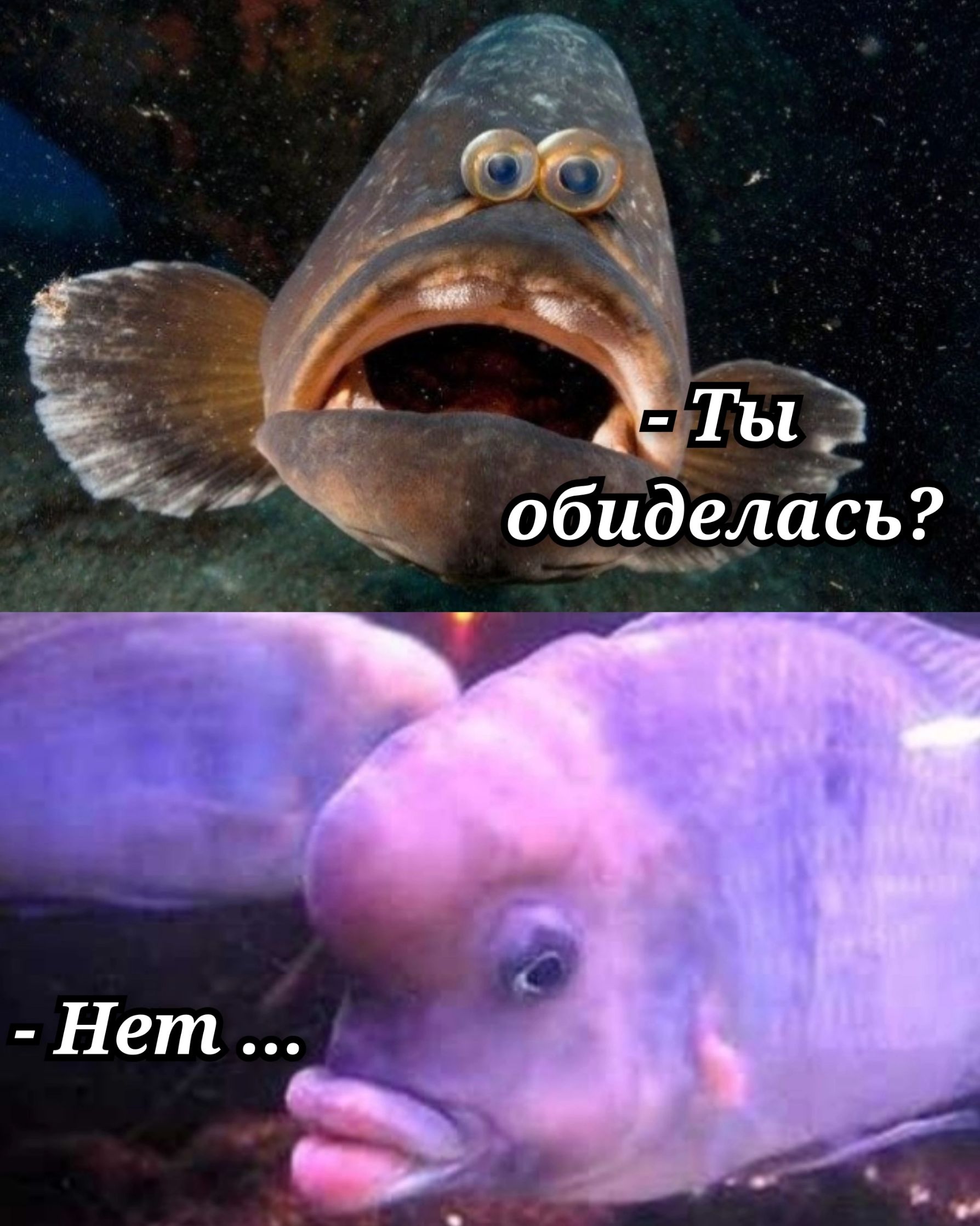 - Ты обиделась?
- Нет ...