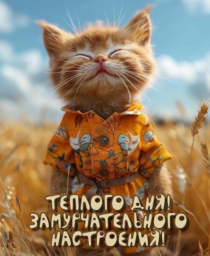 ТЁПЛОГО ДНЯ! ЗАМУРЧАТЕЛЬНОГО НАСТРОЕНИЯ!