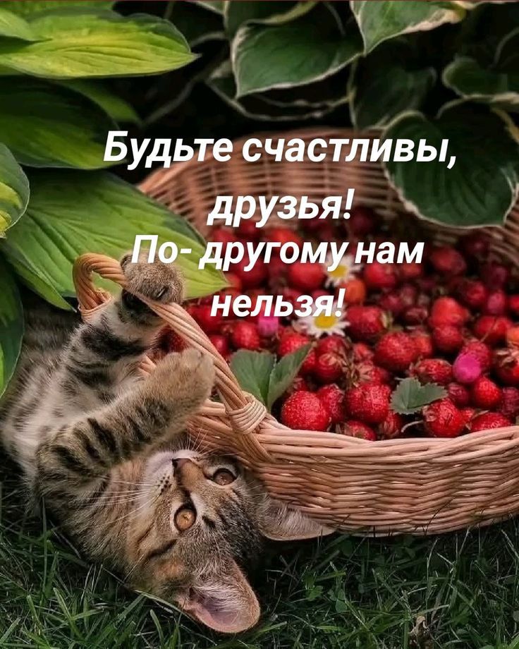 Будьте счастливы, друзья! По-другому нам нельзя!