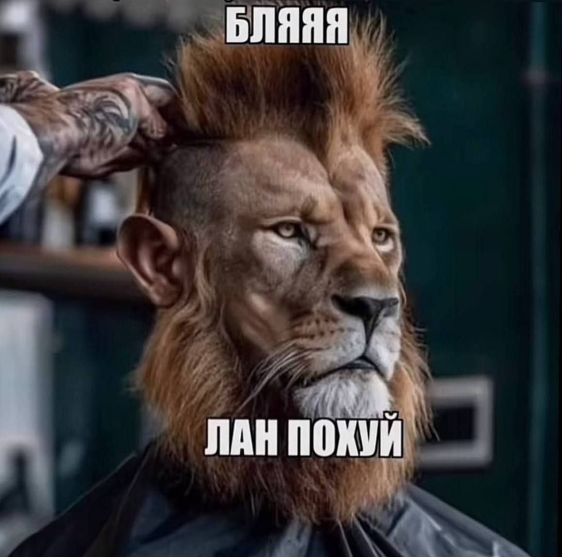 БЛЯЯЯ ЛАН ПОХУЙ