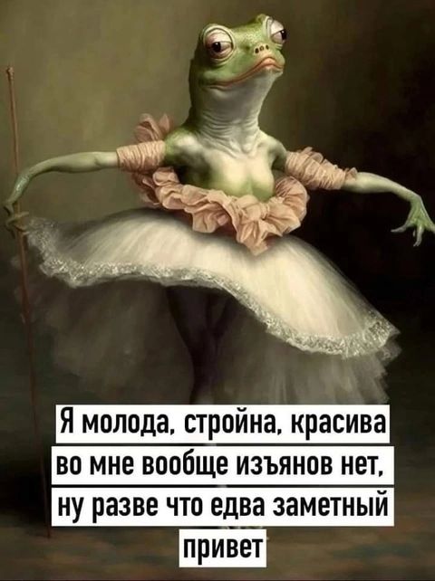 Я молода, стройна, красива во мне вообще изъянов нет, ну разве что едва заметный привет