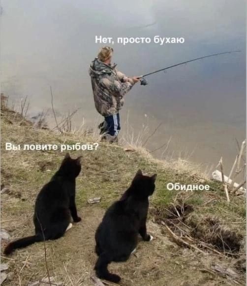 Нет, просто бухаю
Вы ловите рыбоб?
Обидное