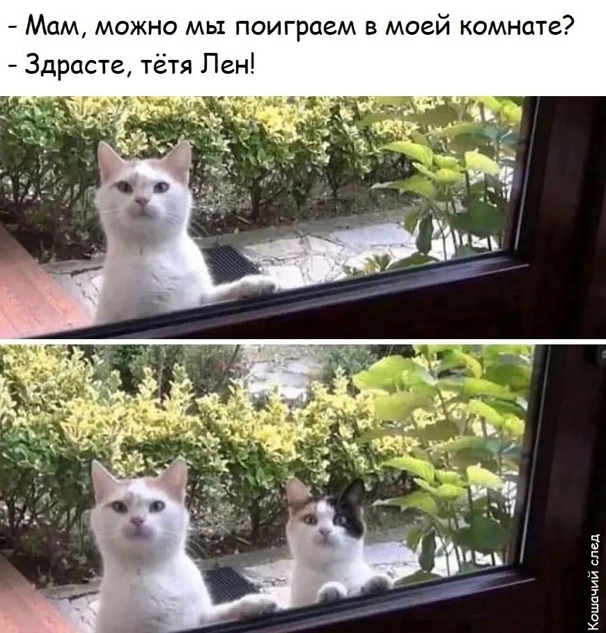 - Мам, можно мы поиграем в моей комнате? - Здравствуйте, тётя Лен!