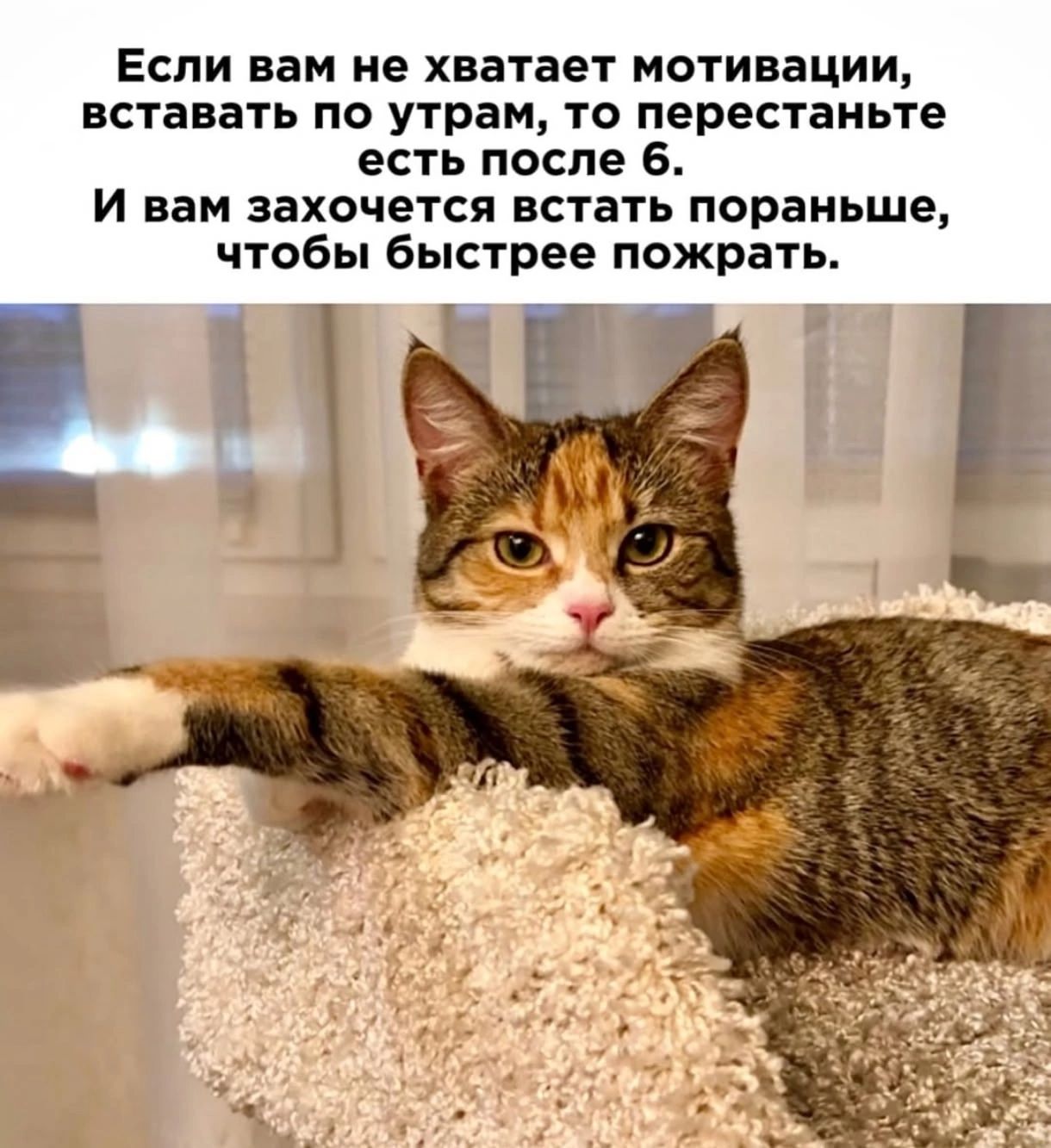 Если вам не хватает мотивации, вставать по утрам, то перестаньте есть после 6. И вам захочется встать пораньше, чтобы быстрее позжарить.