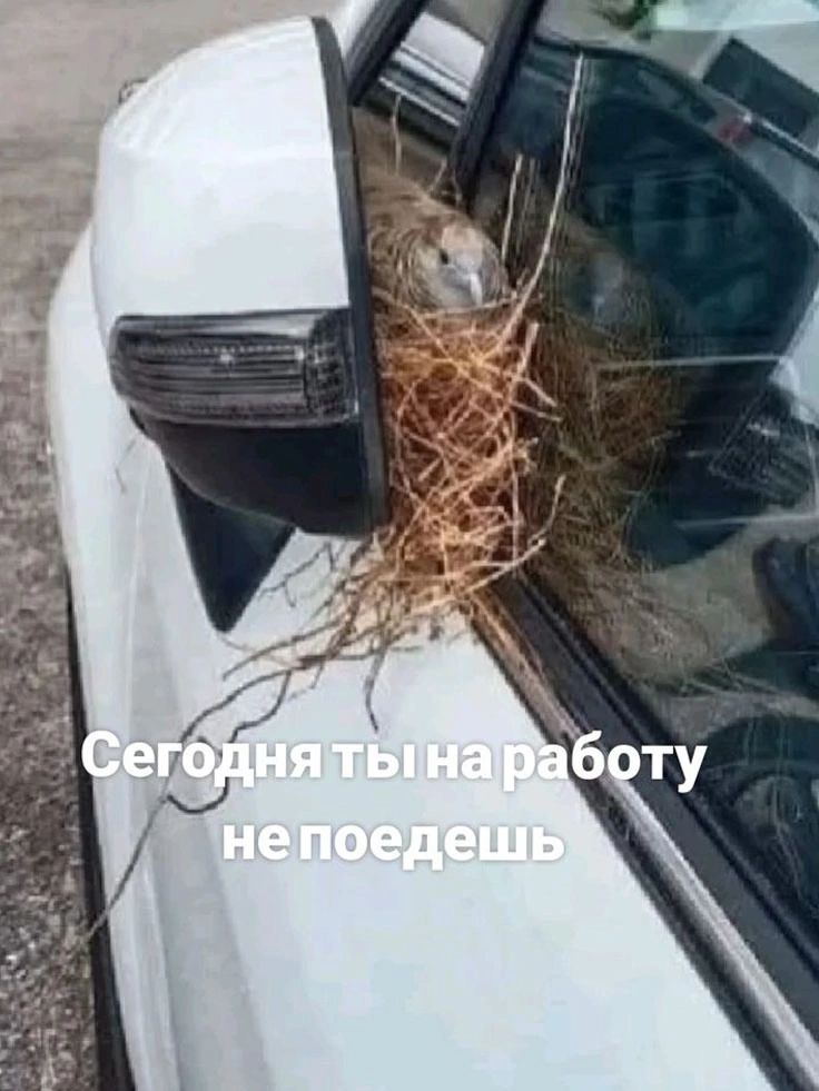 Сегодня ты на работу не поедешь
