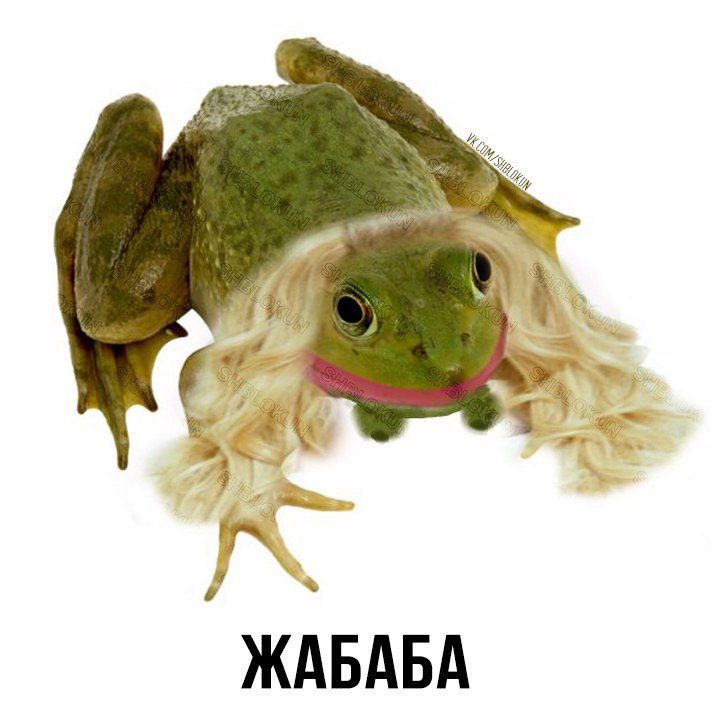 ЖАБАБА