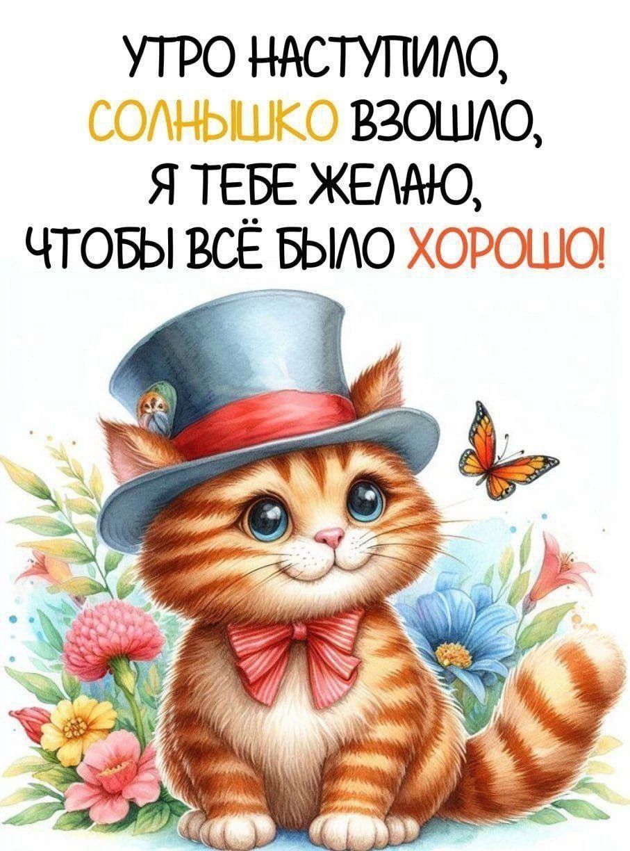 УТРО НАСТУПИЛО, СОЛНЫШКО ВЗОШЛО, Я ТЕБЕ ЖЕЛАЮ, ЧТОБЫ ВСЁ БЫЛО ХОРОШО!