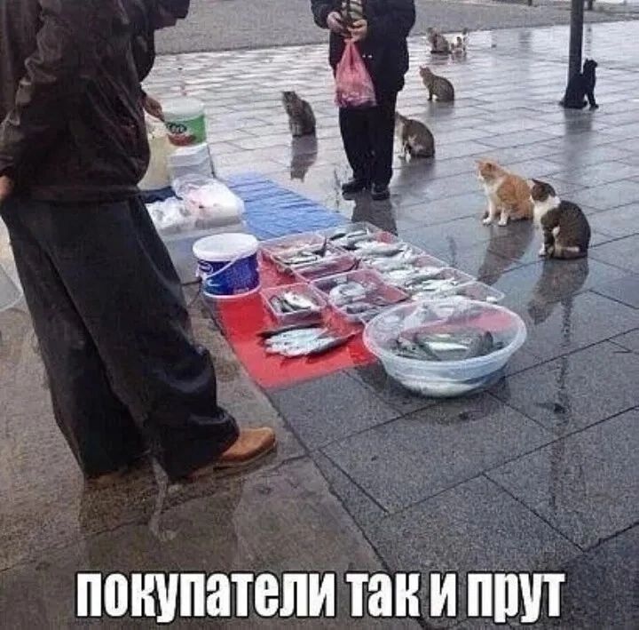покупатели так и прут