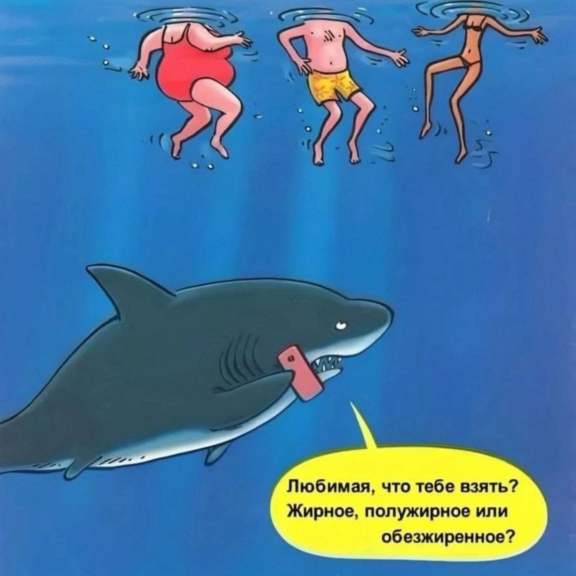 Любимая, что тебе взять? Жирное, полужирное или обезжиренное?