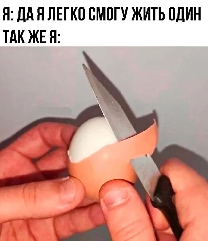 Я: Да я легко смогу жить один. Так же я:
