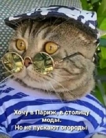 Хочу в Париж, в столицу моды. Но не пускают огороды.