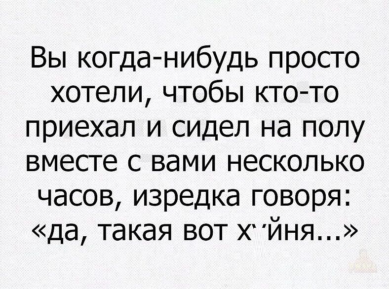 Вы когда-нибудь просто хотели, чтобы кто-то приехал и сидел на полу вместе с вами несколько часов, изредка говоря: «да, такая вот х'йня...»