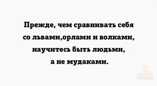 Прежде, чем сравнивать себя со львами, орлами и волками, научитесь быть людьми, а не мудаками.