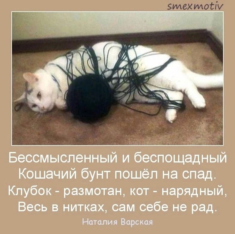 Бессмысленный и беспощадный Кошачий бунт пошёл на спад. Клубок - размотан, кот - нарядный, Весь в нитках, сам себе не рад.
Наталия Варская