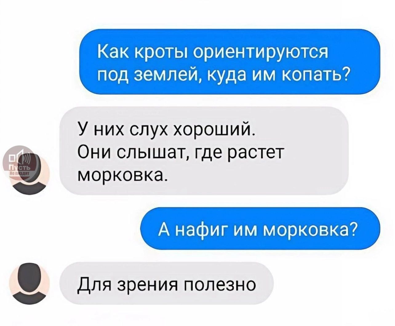 Как кроты ориентируются под землёй, куда им копать?
У них слух хороший.
Они слышат, где растёт морковка.
А нафиг им морковка?
Для зрения полезно.