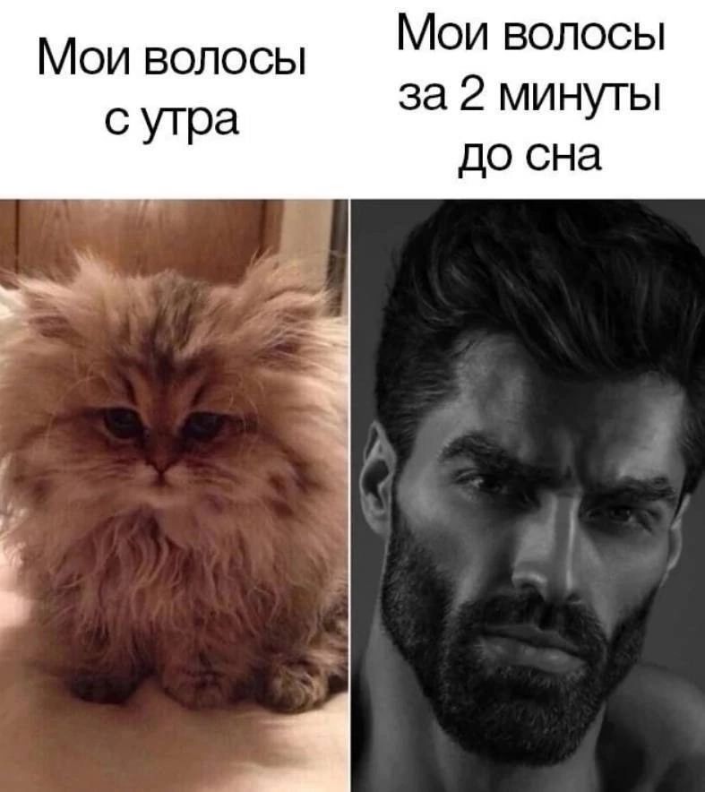 Мои волосы с утра
Мои волосы за 2 минуты до сна