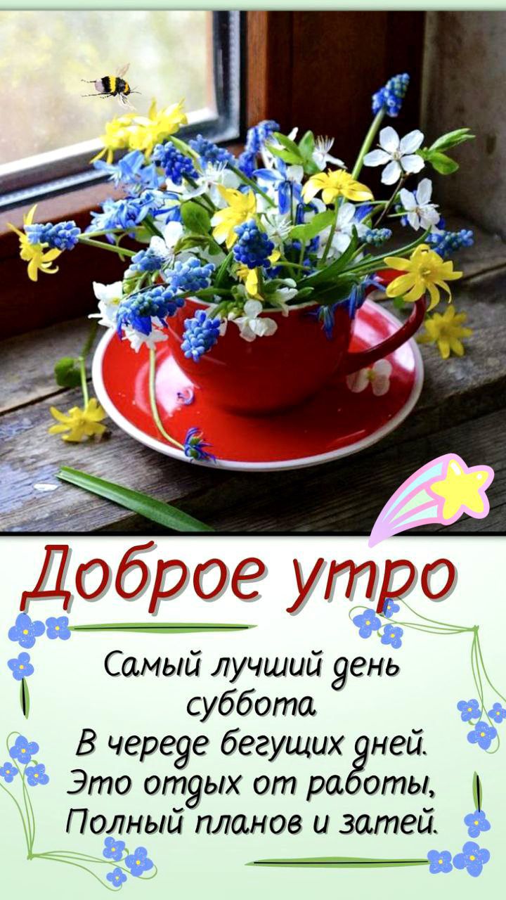 Доброе утро
Самый лучший день суббота
В череде бегущих дней.
Это отдых от работы,
Полный планов и затей.