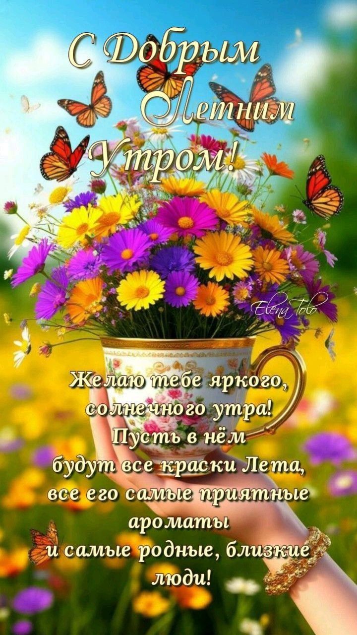 С Добрым Летним Утром! Желаю тебе яркого, солнечного утра! Пусть в нём будут все краски Лета, все его самые приятные ароматы и самые родные, близкие люди!