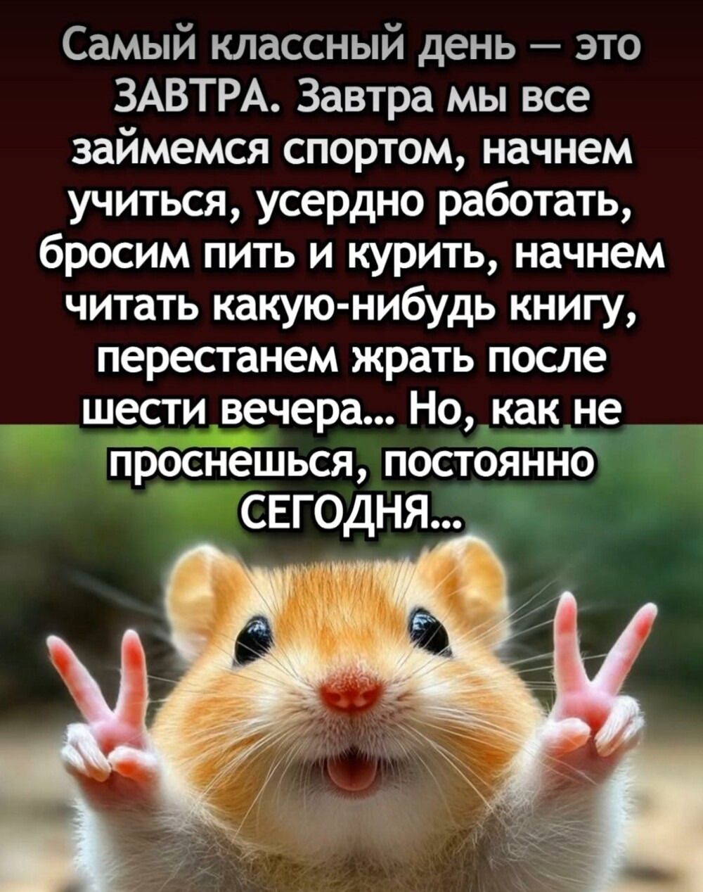 Самый классный день — это ЗАВТРА. Завтра мы все займёмся спортом, начнём учиться, усердно работать, бросим пить и курить, начнём читать какую-нибудь книгу, перстанем жрать после шести вечера... Но, как не проснешься, постоянно СЕГОДНЯ...