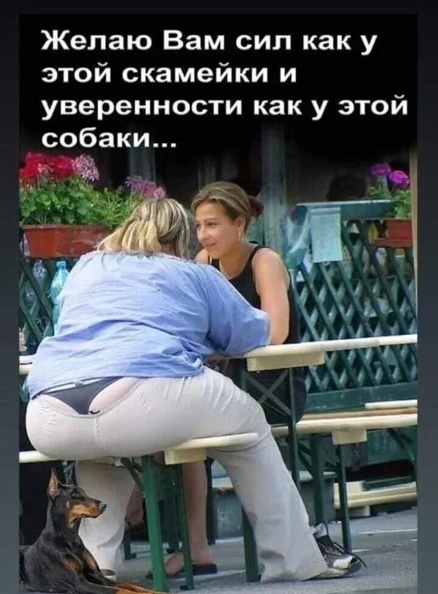 Желаю Вам сил как у этой скамейки и уверенности как у этой собаки...