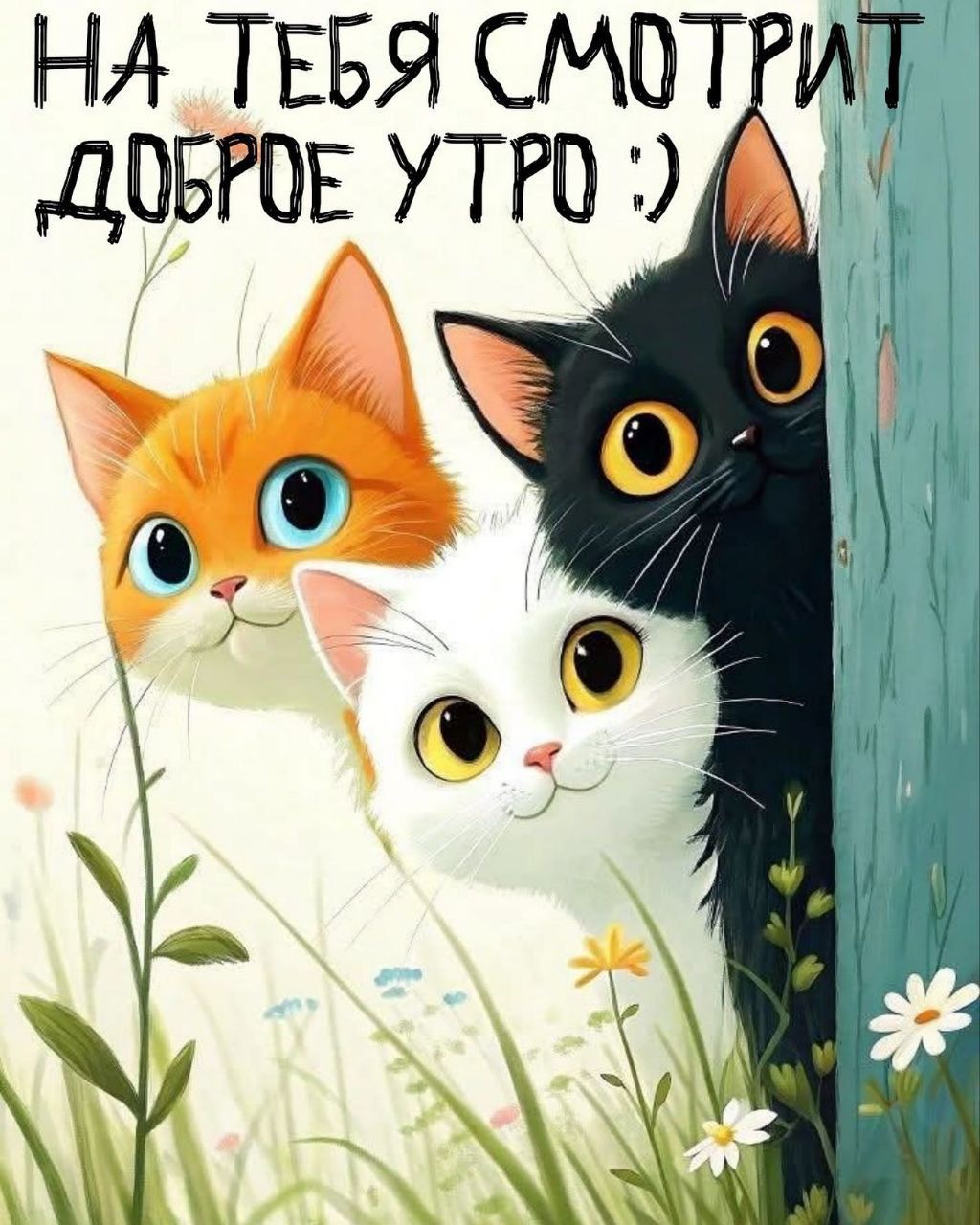 НА ТЕБЯ СМОТРИТ ДОБРОЕ УТРО :)