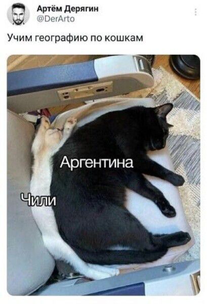 Учим географию по кошкам
Аргентина
Чили