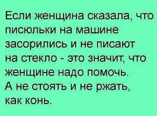 Если женщина сказала, что писюльки на машине засорились и не пишают на стекло - это значит, что женщине надо помочь. А не стоять и не ржать, как конь.